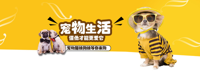 imToken钱包苹果版
